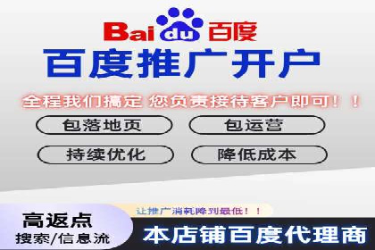 Sem优化公司案例：精准广告投放策略解析