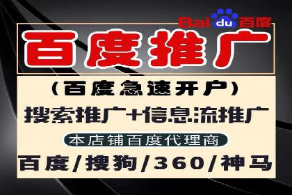 高效SEM推广代运营：提升品牌知名度的秘诀